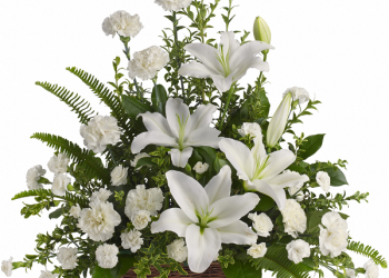 Peaceful White Lilies