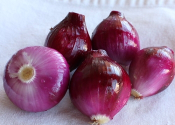 ቀይ ሽንኩርት – Red Onions – 5 kg