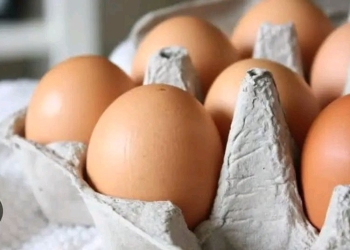 እንቁላል 24 Eggs