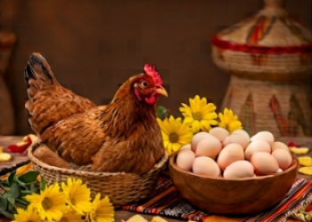 The Doro Wat Bundle: Hen, Egg, large size Flower. የዶሮ ወጥ ማሟያ፡ ዶሮ፣ እንቁላል፣ ትልቅ አበባ