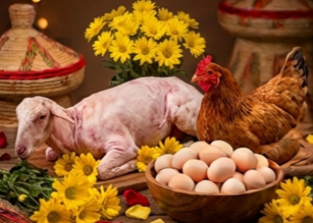 The Bountiful Kitchen: large size Sheep, Hen, Egg. የተትረፈረፈ ማዕድ፡ ትልቅ በግ፣ ዶሮ፣ እንቁላል